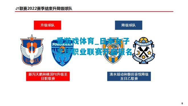 爱游戏体育_日本女子足球职业联赛开启报名