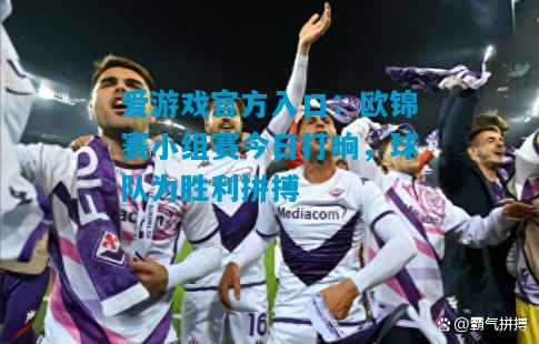 欧锦赛小组赛今日打响，球队为胜利拼搏