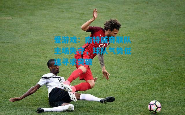 爱游戏:南特威奇联队主场失守,球队气势低迷寻求突破