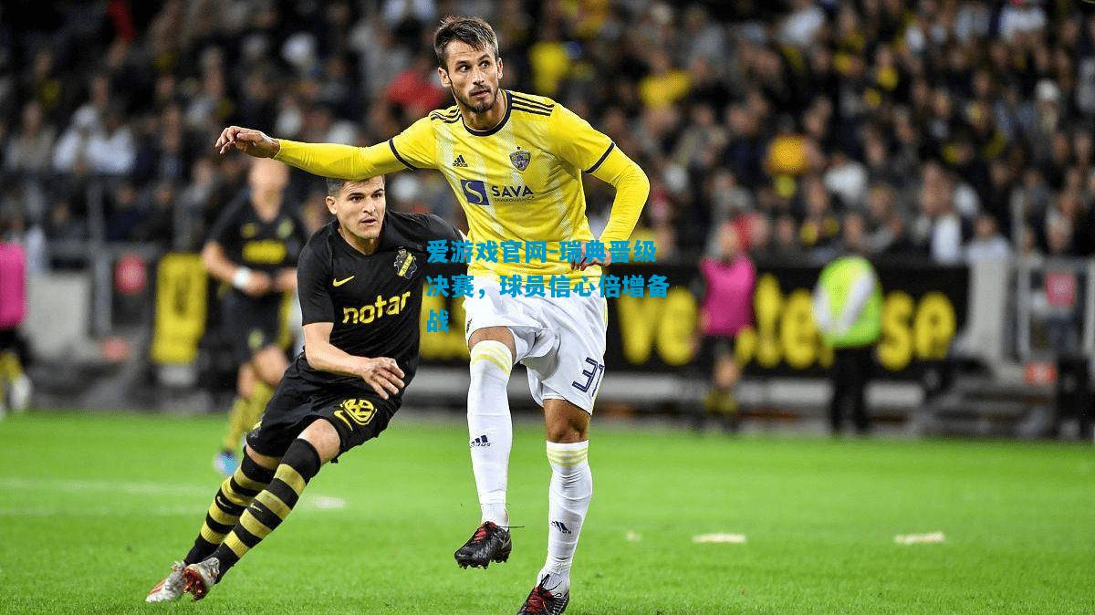 爱游戏官网-瑞典晋级决赛,球员信心倍增备战