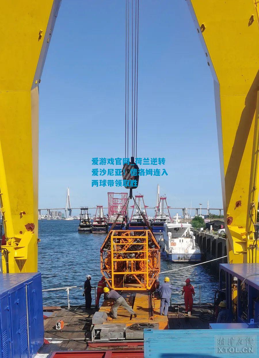 荷兰逆转爱沙尼亚！德洛姆连入两球带领取胜