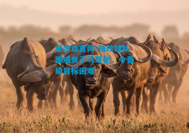 袖珍球队挪威负于马耳他，令晋级目标困难