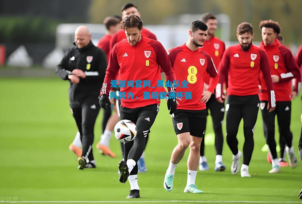 爱游戏官网_黑山队全队努力,晋级欧洲杯强!