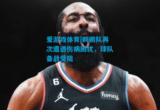 鹈鹕队再次遭遇伤病困扰，球队备战受阻