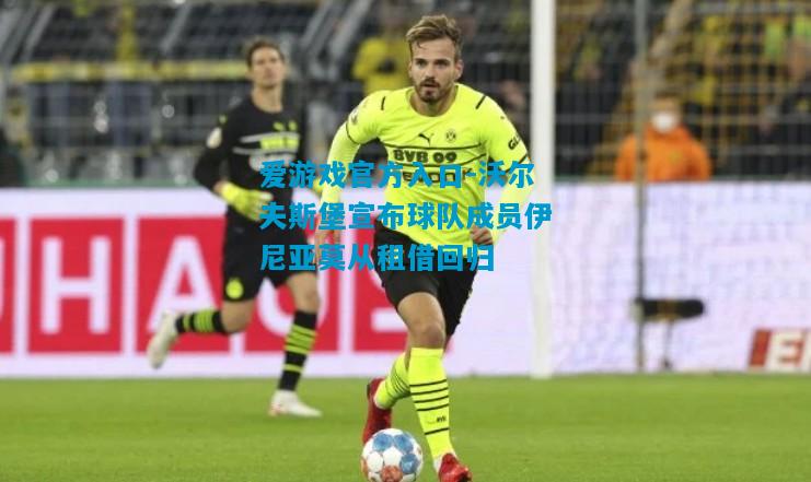 沃尔夫斯堡宣布球队成员伊尼亚莫从租借回归