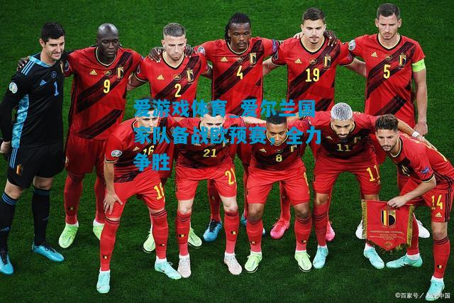 爱尔兰国家队备战欧预赛，全力争胜