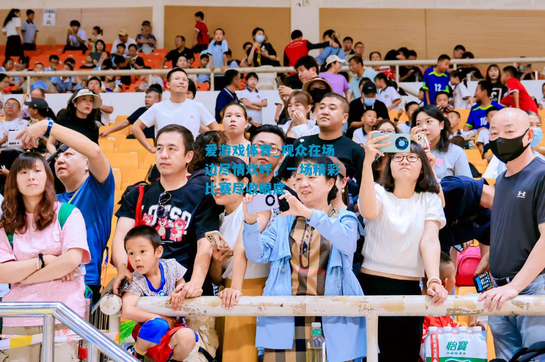 爱游戏体育_观众在场边尽情欢呼,一场精彩比赛尽收眼底